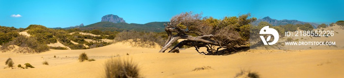 Sardegna, dune di sabbia a Piscinas, Italia