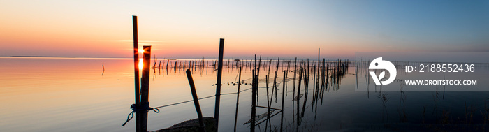 Sunset in the Albufera of Valencia (Spain)