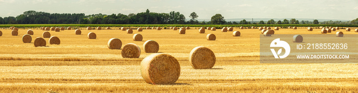 Strohballen auf dem Feld