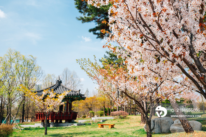 Hwarang Recreation Area park at spring in Ansan, Korea