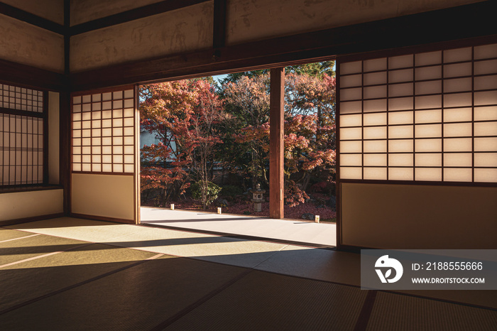 Beautiful Autumn Leaves in Kyoto Japan