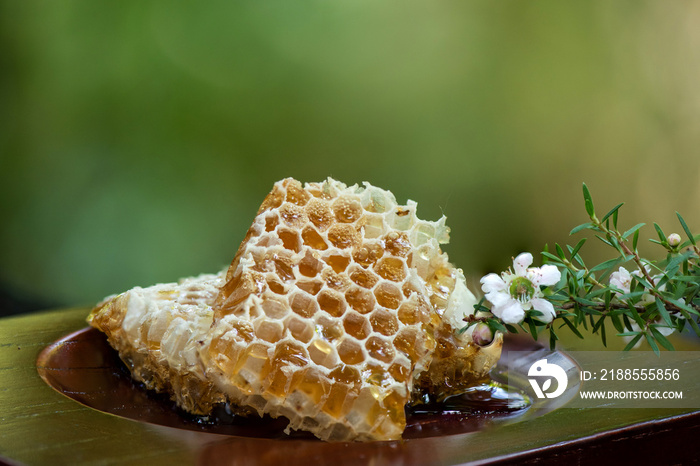 Manuka honey and flowers on nature background.