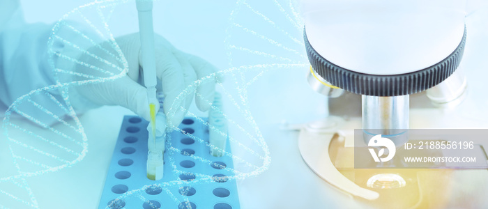 Medical laboratory background, technician researcher’s hand in latex glove pipetting human blood serum samples for genetic DNA tests and vaccine development research with DNA molecules and microscope.