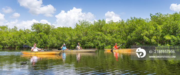 Tourist kayaking in mangrove forest in Everglades, Florida, USA.