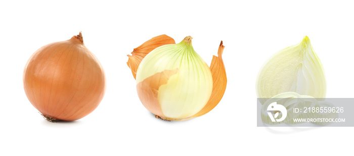 Collage with fresh onion on white background