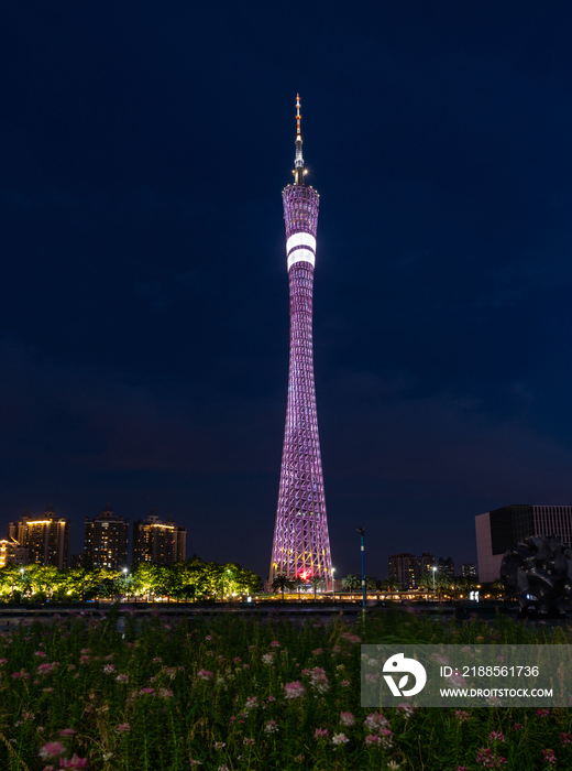 广州塔夜景