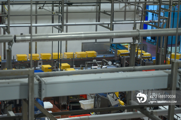 Production of dairy products. Plant, factory in operating mode. Automation of production, conveyors