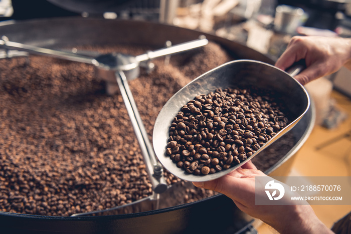 Close up male hands keeping spatula with coffee beans near special equipment. Factory concept