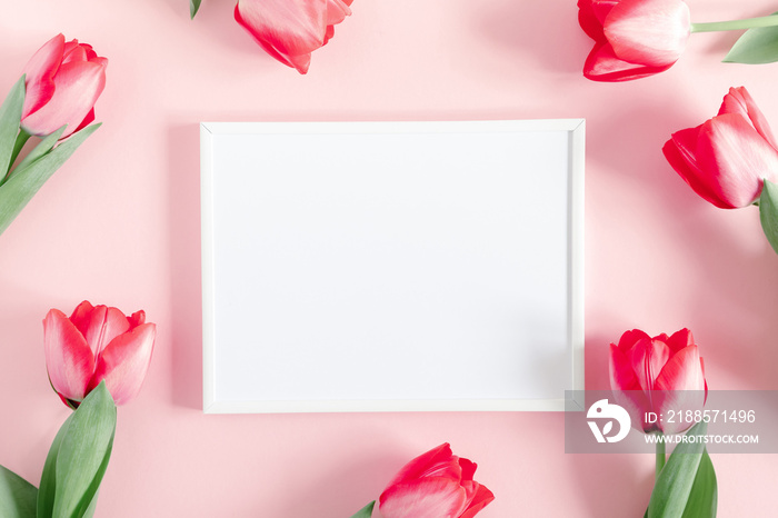 Flowers composition romantic. Blank frame for text, pink tulips on pastel pink background. Flat lay,