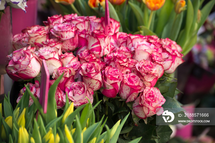 closeup of red and pink  roses bouquet at the florist in the street