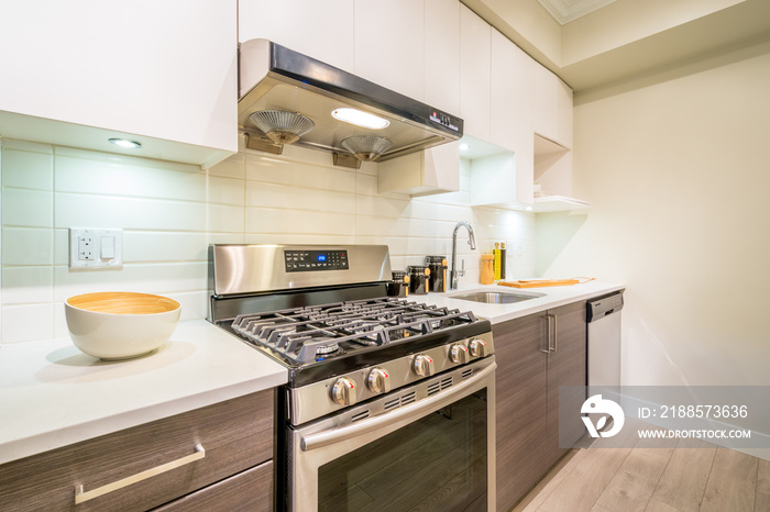 Modern, bright, clean kitchen interior with stainless steel appliances in a luxury apartment.