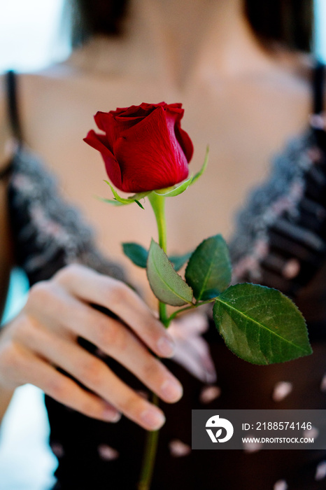 Woman holding a red rose