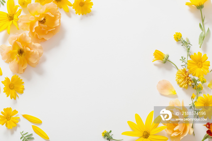 yellow and orange flowers on white background