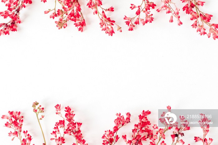 Colorful red wildflowers on white background. Flat lay, top view floral frame border with copy space