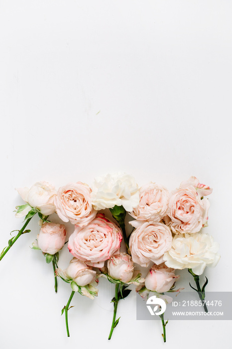 Flower composition with beige roses on white background. Flat lay, top view. Floral texture backgrou