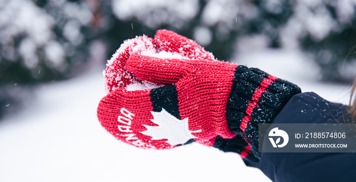 Close-up of hands in red Canada mittens make a snowball from the snow.