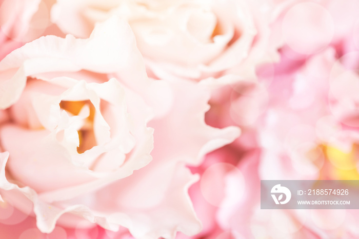 Closeup view of pink eustoma flower. Soft pastel wedding background.