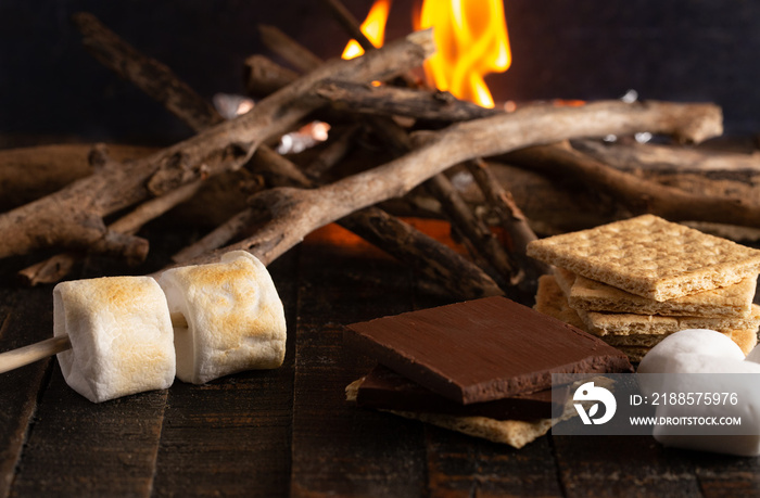 Making Smores on a Campfire