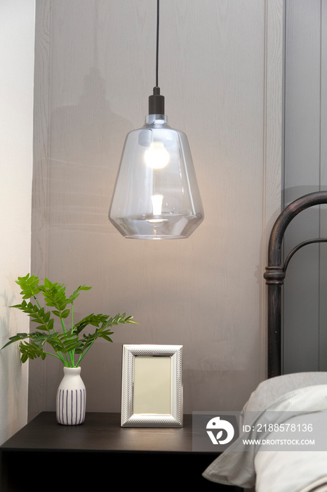 modern hanging lamp in modern bedroom with plant pot and picture frame