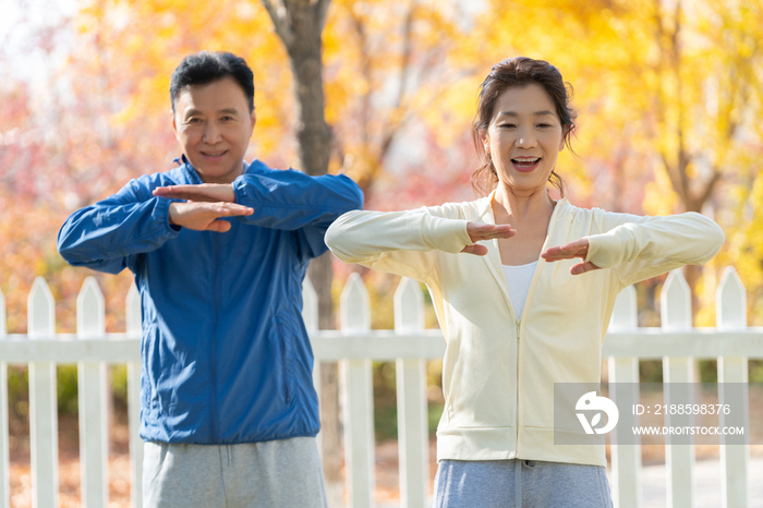 老年夫妇在公园里运动健身