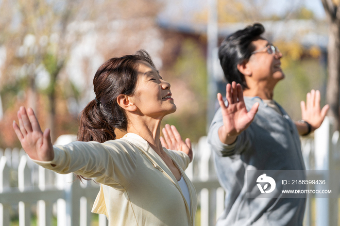 老年夫妇在公园里运动健身