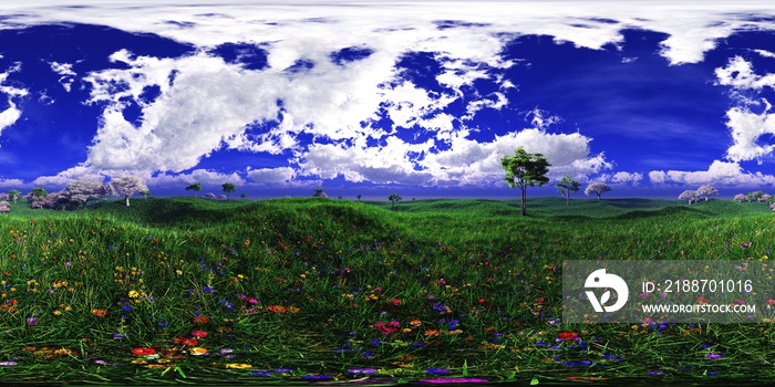 Spring meadow with flowers,, HDRI,  environment map , Round panorama, spherical panorama, equidistant projection, panorama 360