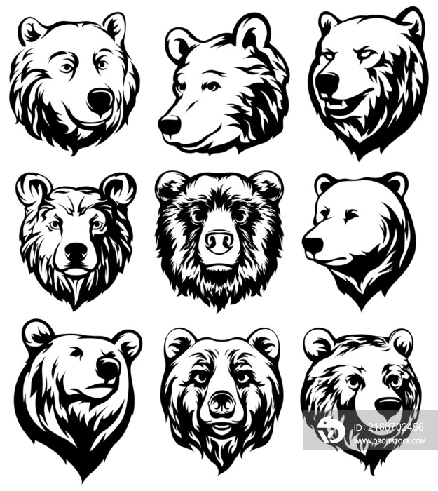 Head of bear. Abstract character illustration variant set. Graphic logo design template for emblem. Image of portrait.