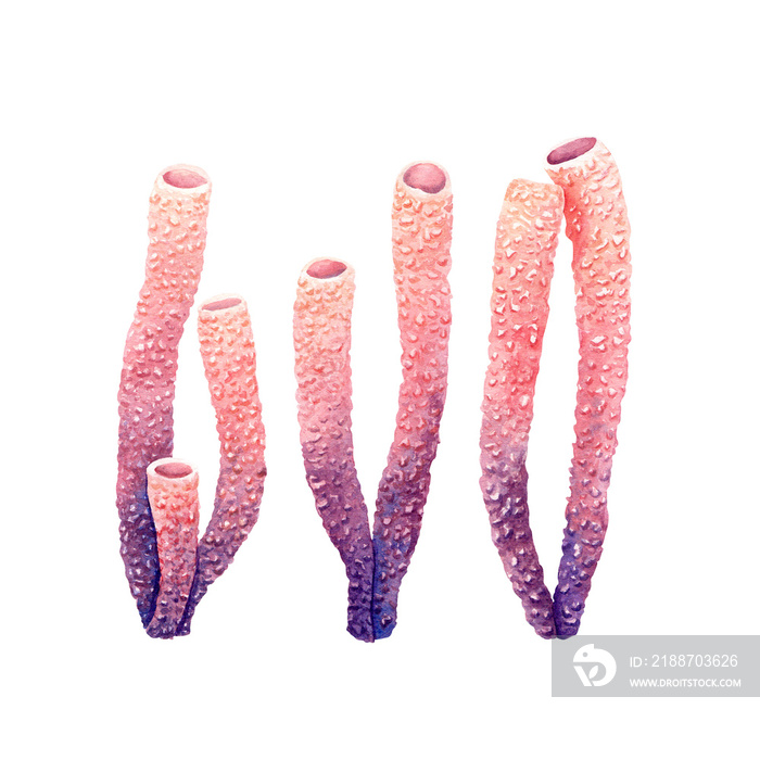 A set of sponge tube corals. Watercolor illustration isolated on white background