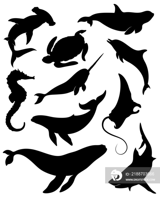 Set of sea animals silhouettes. Isolated silhouette of hammerhead shark, whale, seahorse, stingray, turtle, dolphin, sperm whale, white shark.