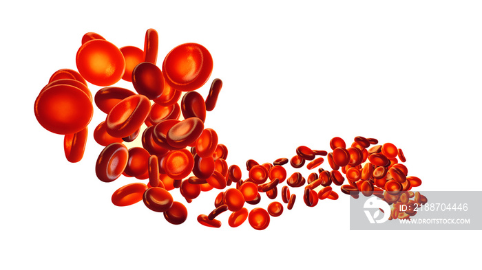 Group of red blood cells isolated on white background. Blood cells (erythrocytes) carry oxygen to all body tissues.