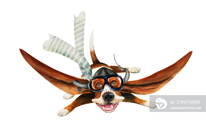 Joyful basset-pilot in pilot hat. Hand drawn watercolor