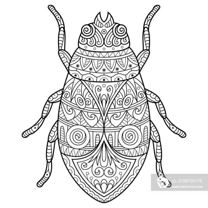 Hand drawn of firebug in zentangle style