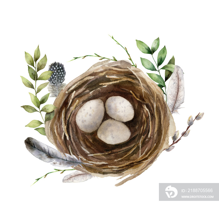 Watercolor easter card with birds nest and branch. Hand painted spring nest with eggs, feathers and willow isolated on white background. Holiday wildlife illustration for design, print or background.