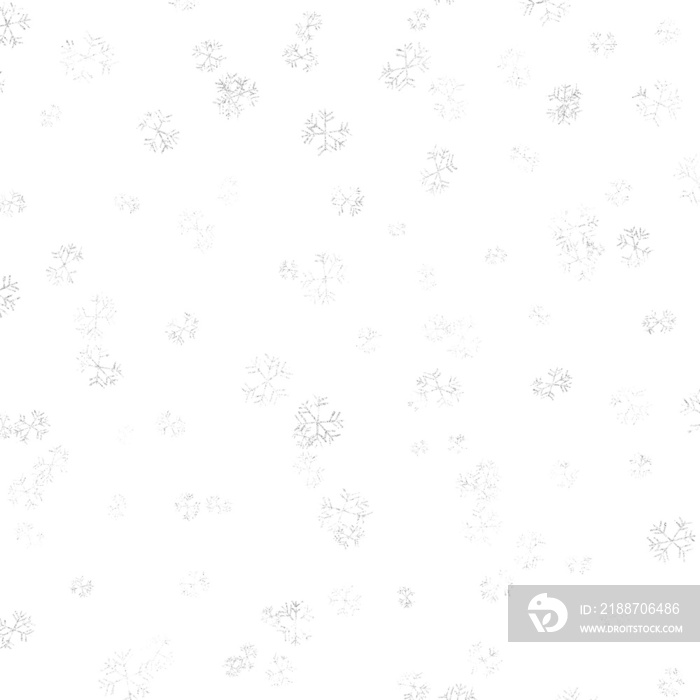 isolated white silver snowflakes overlay on a transparent background