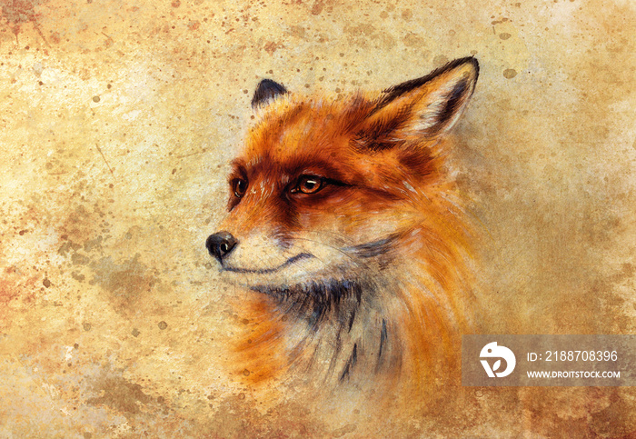 Painting of wild fox on paper. Aquarelle background.