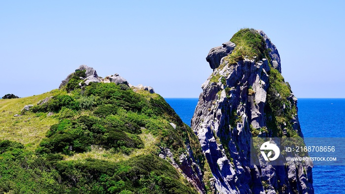 壱岐島のシンボルである猿岩の晴れた風景