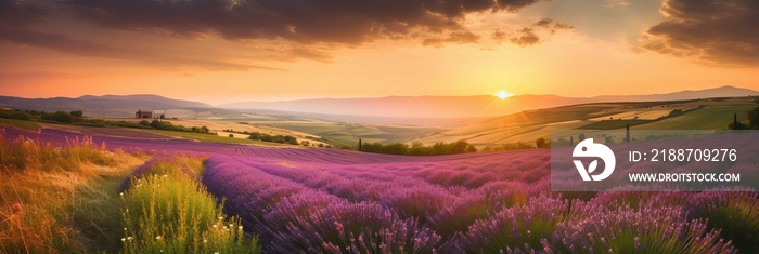 Stunning landscape featuring a lavender field at sunset