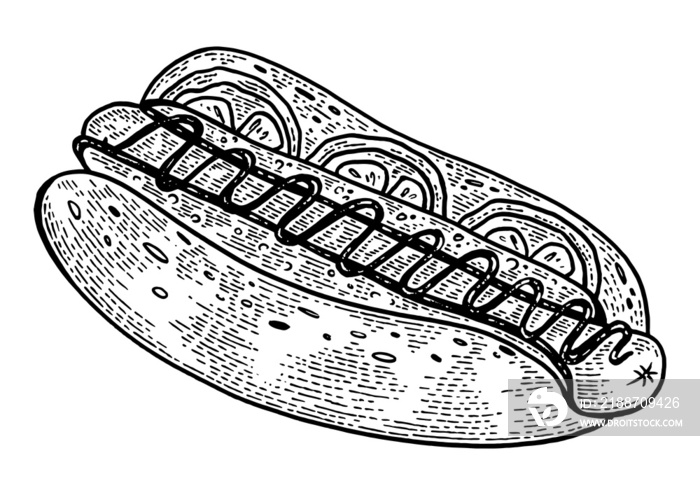 Hot dog sketch engraving PNG illustration with transparent background