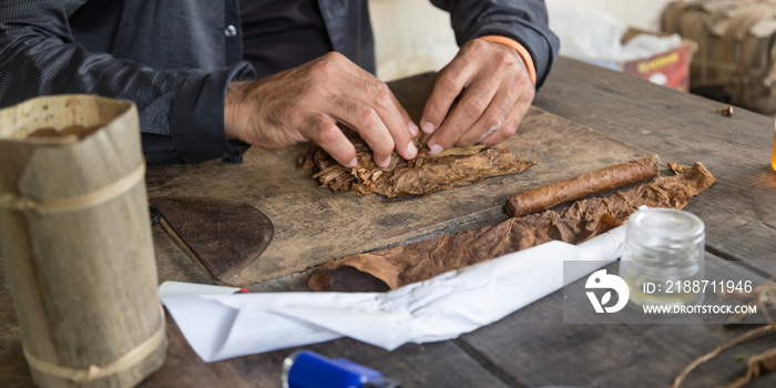 Cuban master showing how to hand roll a cigar