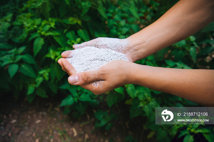 Farmer hands holding chemical organic nutrient agricultural plant fertilizer in the garden or nature