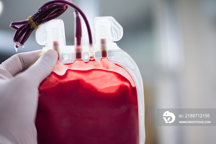 Close up red blood bag in laboratory.