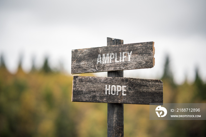 vintage and rustic wooden signpost with the weathered text quote amplify hope, outdoors in nature. blurred out forest fall colors in the background.