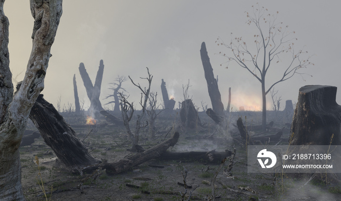 Waldbrand – Rodung und Zerstörung des Waldes durch Feuer