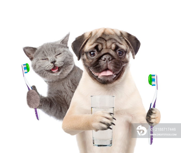 Cat and dog with  toothbrushes and a glass of water. isolated on white background