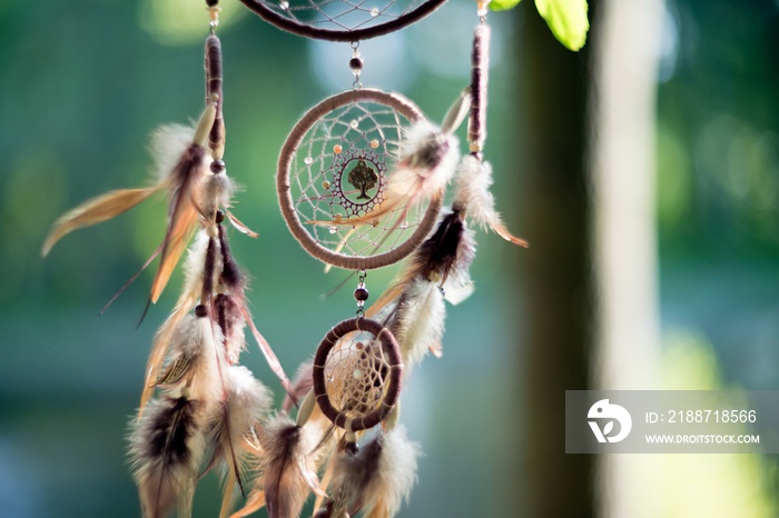 Dreamcatcher, american native amulet in forest. Shaman