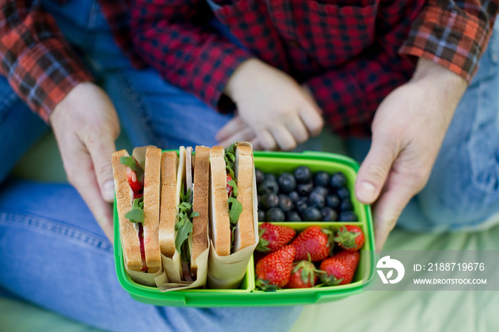 Sandwiches and berries in lunchbox