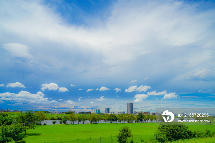 江戸川の河川敷風景（松戸市矢切）