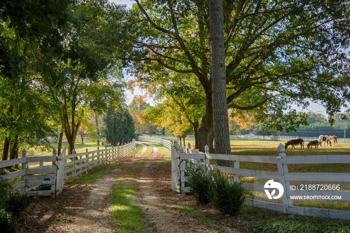 Rural horse farm scenic in autumn., Smithfield, Virginia