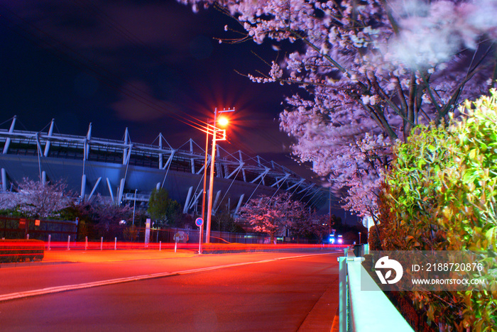 ライトアップされた夜桜（東京都調布市）