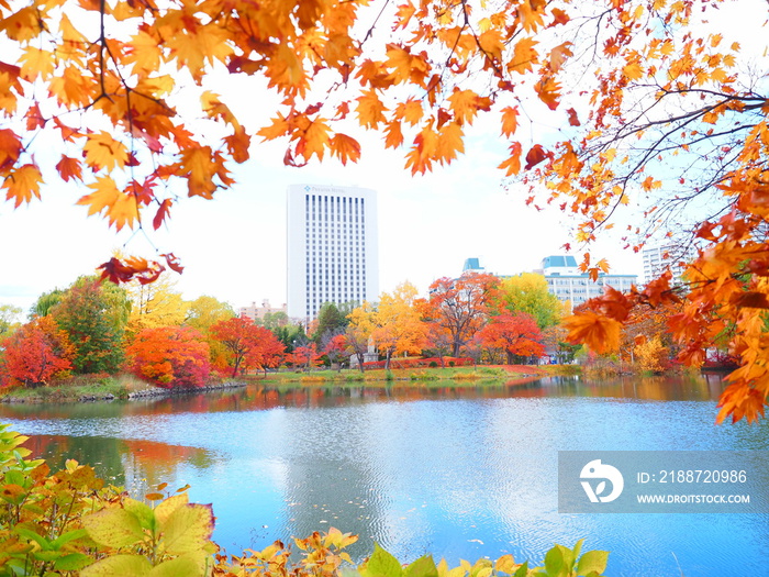 北海道の絶景 秋の札幌中島公園 紅葉風景